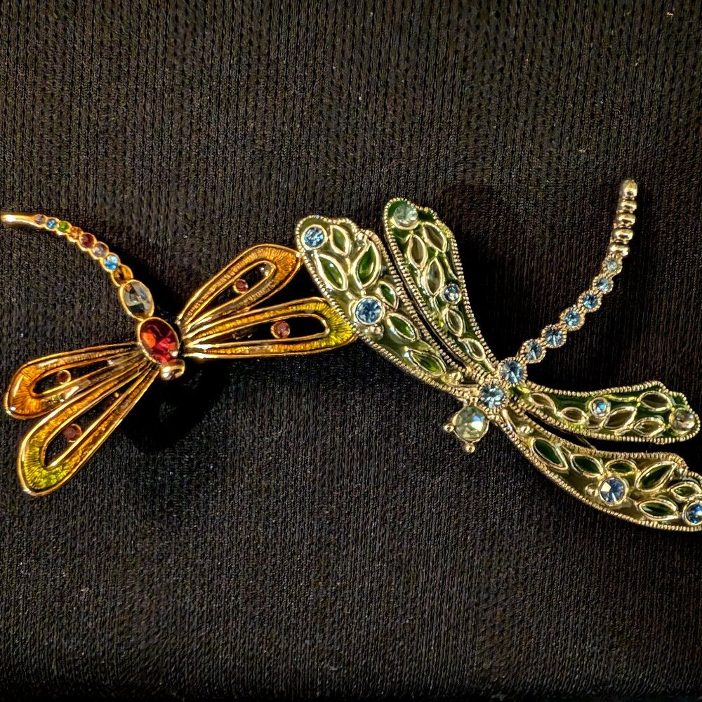 2 Women's Dragon Fly Pins